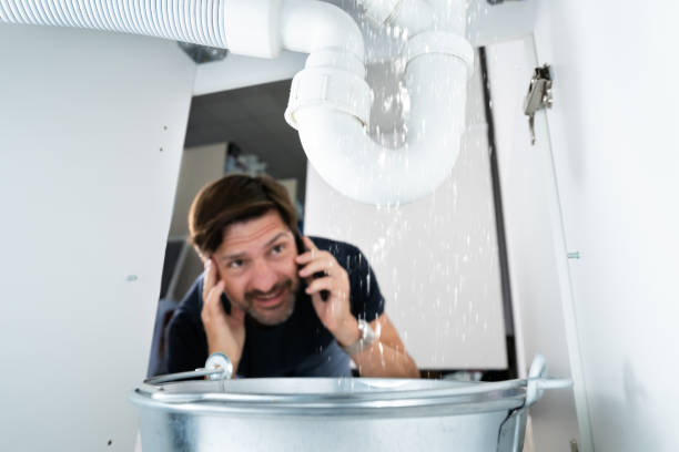 Best Clogged Drain Plumber  in Greensburg, IN